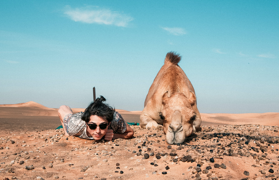Верблюд и его друг в пустыне Египта