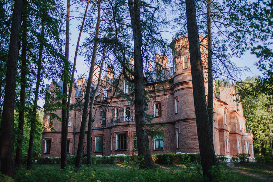 Васильевский замок. Вид из парка