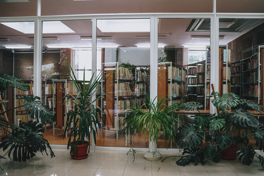 Донская публичная библиотека в Ростове-на-Дону
