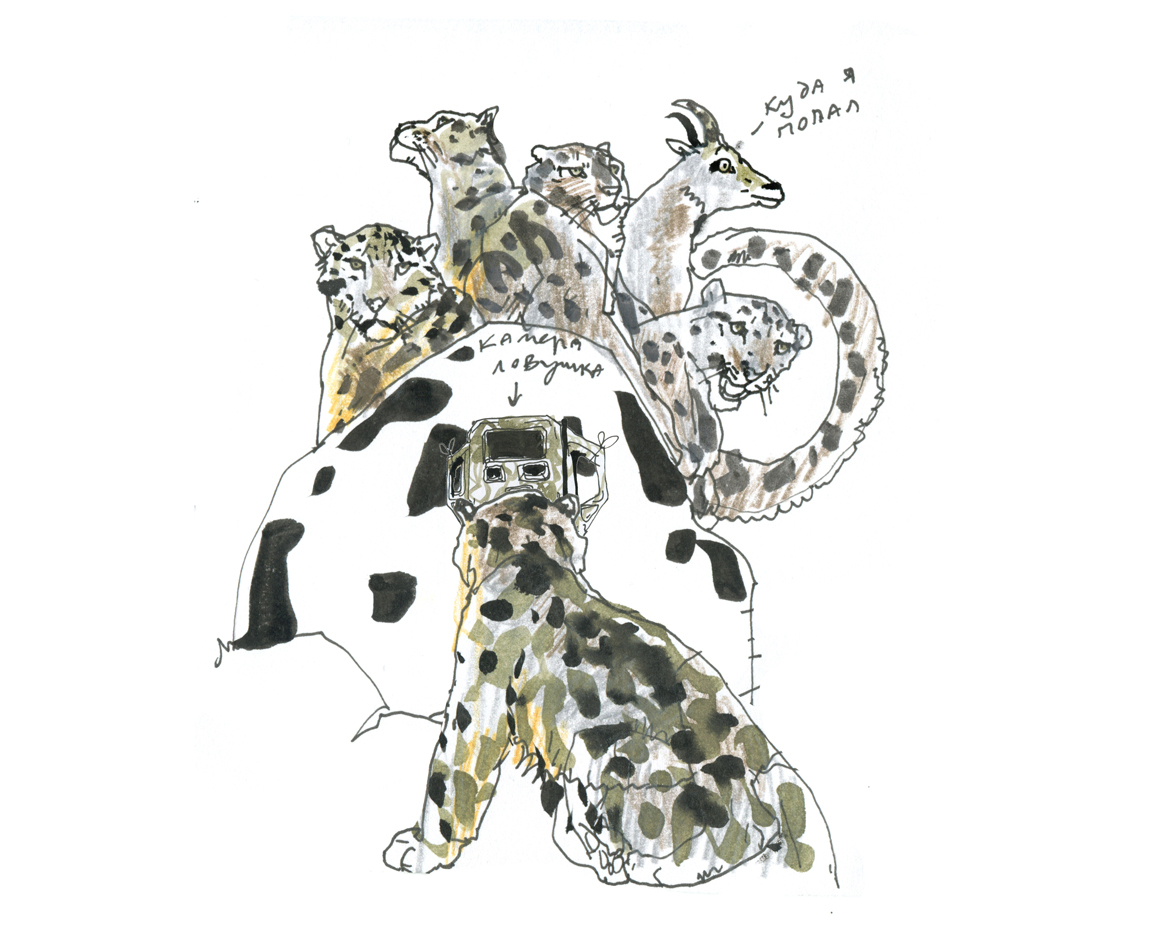 Иллюстрация животных Сайлюгемского национального парка