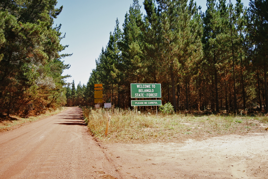 Дорожный знак с надписями «Добро пожаловать в Белангло Стейт Форест» (Welcome to Belanglo State Forest) и «Пожалуйста, будьте осторожны» (Please, be careful)