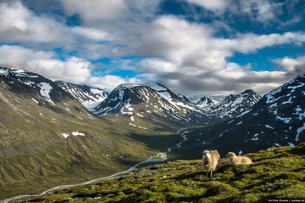 Едем в Норвегию: что надо знать перед поездкой в страну | Perito