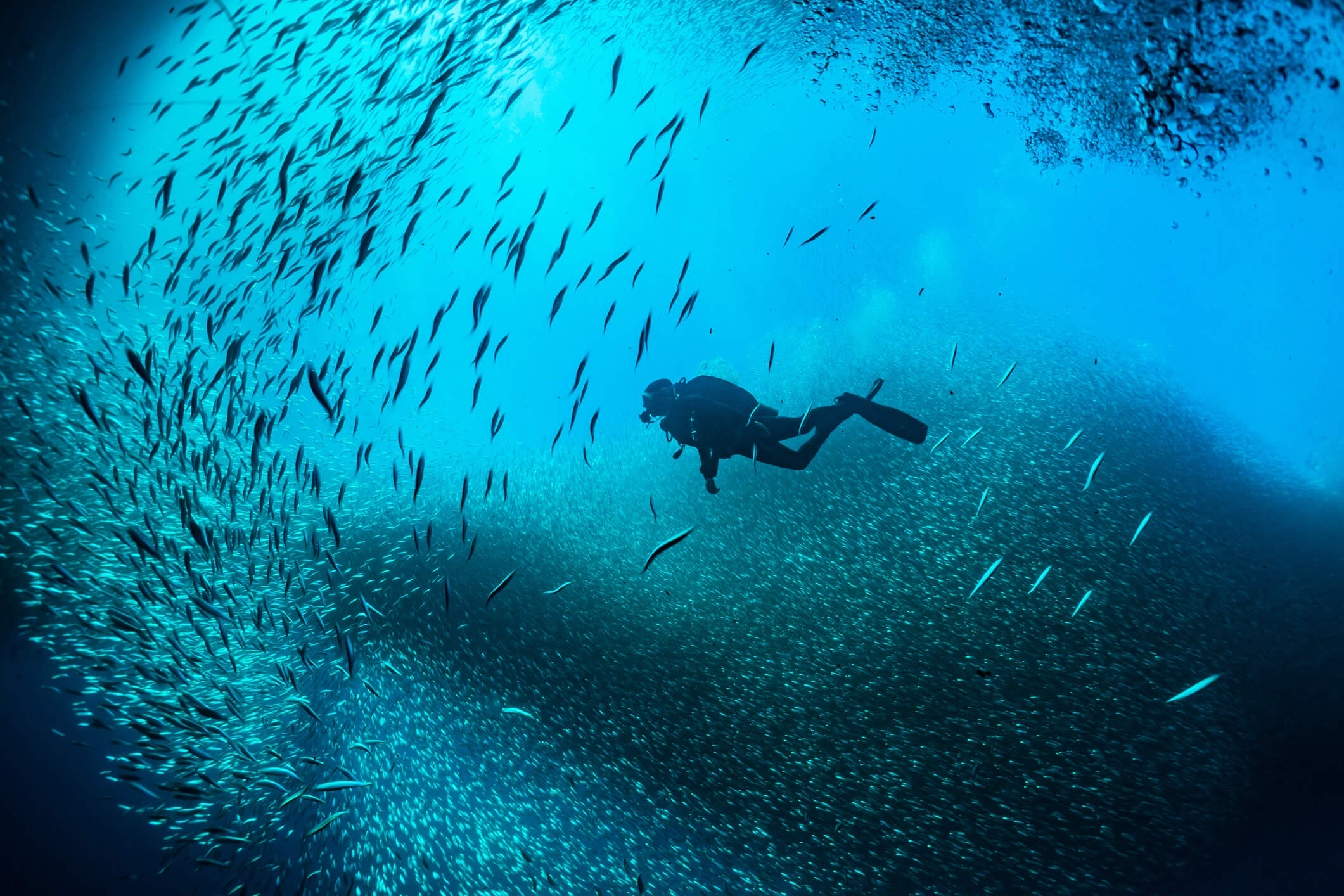 Подводный мир аквалангист