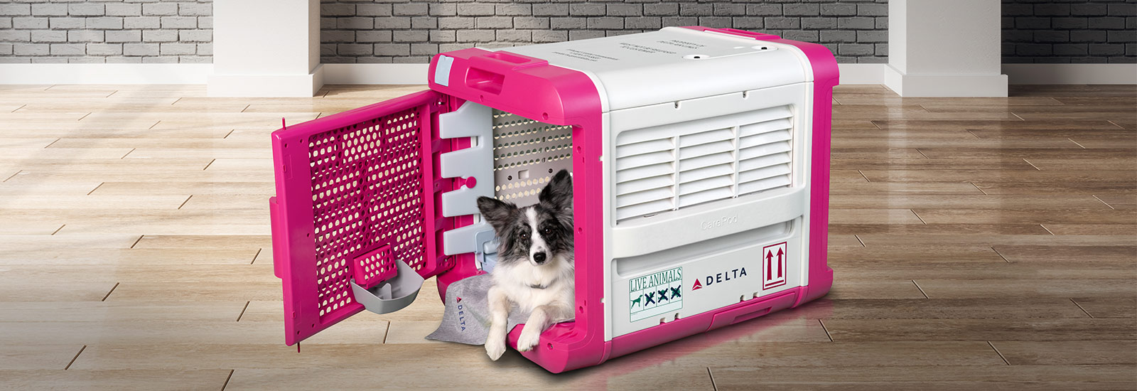 Delta airlines pet carrier best sale