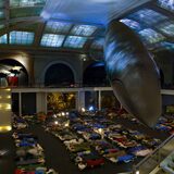 Спать в окружении китов и тираннозавра: Музей естественной истории в Нью-Йорке пустит к себе на ночевку