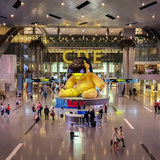 Кто и зачем поставил гигантского медведя посреди катарского аэропорта