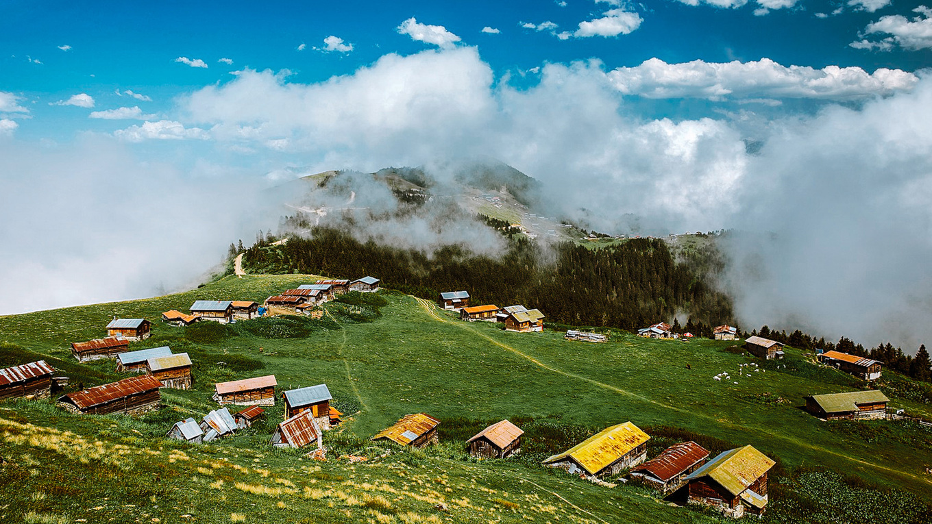 Фото на документы | Фотосалон Екатеринбург | Cheese Photo