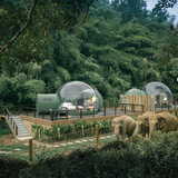 Сон среди гигантов: тайский отель со слонами открыл номера-«пузыри»